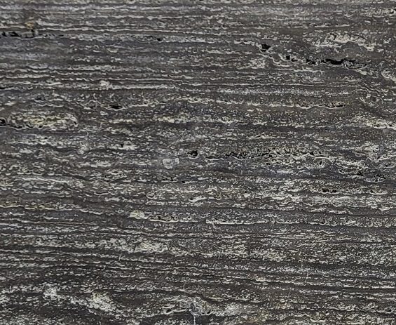 Titanium Travertine